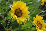 photo thumbnail #13