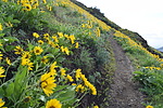 photo thumbnail #14