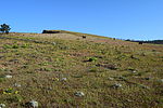 photo thumbnail #13