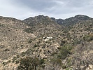 photo thumbnail #7