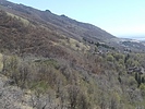 photo thumbnail #7