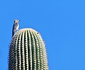 photo thumbnail #12