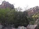 photo thumbnail #14