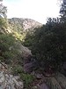 photo thumbnail #15