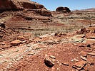 2021-04-10 :3: Globe in the Wild :: PaleoRob