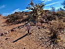 photo thumbnail #4