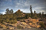 photo thumbnail #2