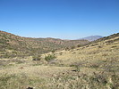 photo thumbnail #2