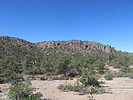 photo thumbnail #8