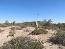 photo thumbnail #9