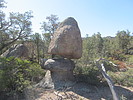 photo thumbnail #10