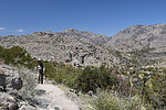 photo thumbnail #5
