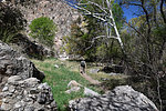 photo thumbnail #6