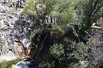 photo thumbnail #7