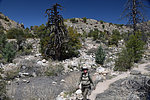 photo thumbnail #14