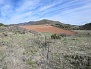 photo thumbnail #5