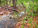 photo thumbnail #7