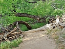 photo thumbnail #3