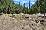 photo thumbnail #8