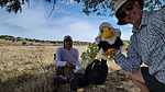 photo thumbnail #8