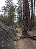 photo thumbnail #2