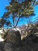 photo thumbnail #14