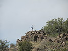 photo thumbnail #7