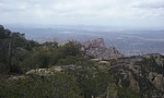 photo thumbnail #4