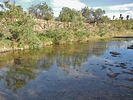 photo thumbnail #13