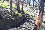 photo thumbnail #14