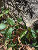 Featured Detail Photo