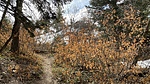 photo thumbnail #7