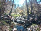 photo thumbnail #5