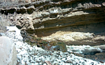 photo thumbnail #12