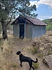photo thumbnail #5