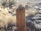 photo thumbnail #5