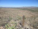 photo thumbnail #3
