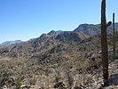 photo thumbnail #4