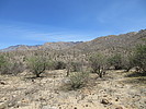 photo thumbnail #14