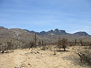 photo thumbnail #15