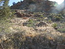 photo thumbnail #3