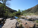 photo thumbnail #4