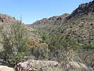 photo thumbnail #5