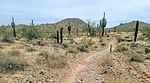 photo thumbnail #5