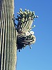 photo thumbnail #4