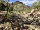 photo thumbnail #6