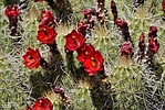 photo thumbnail #13