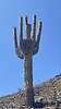photo thumbnail #11