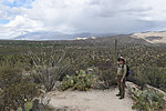 photo thumbnail #2
