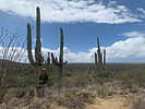 photo thumbnail #8